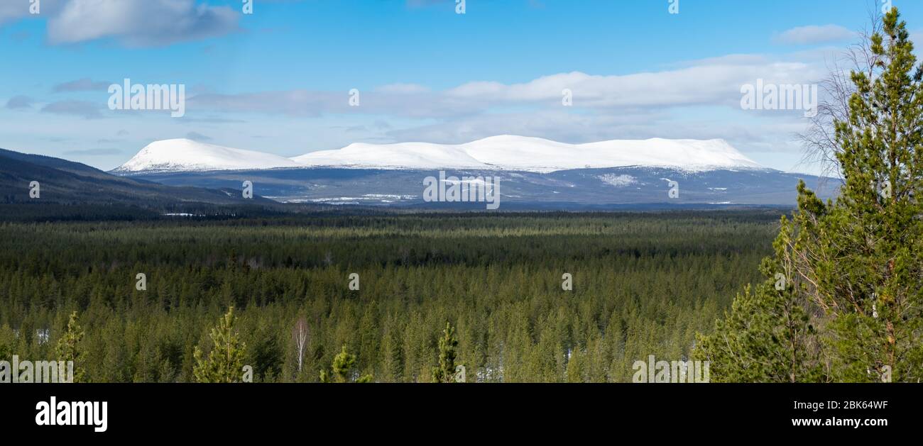 Paesaggio forestale con montagne innevate sullo sfondo. Sonfjället, Svezia. Panorama Foto Stock