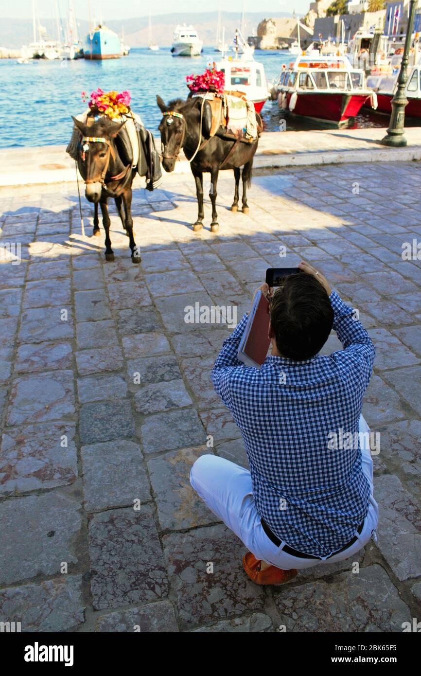 Uomo che scatta foto di muli al porto di Idra isola, Grecia. Foto Stock
