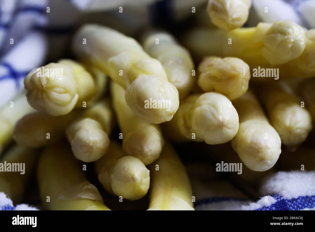 Macro primo piano di gruppo di orli di asparagi freschi e crudi avvolti in un asciugamano umido Foto Stock