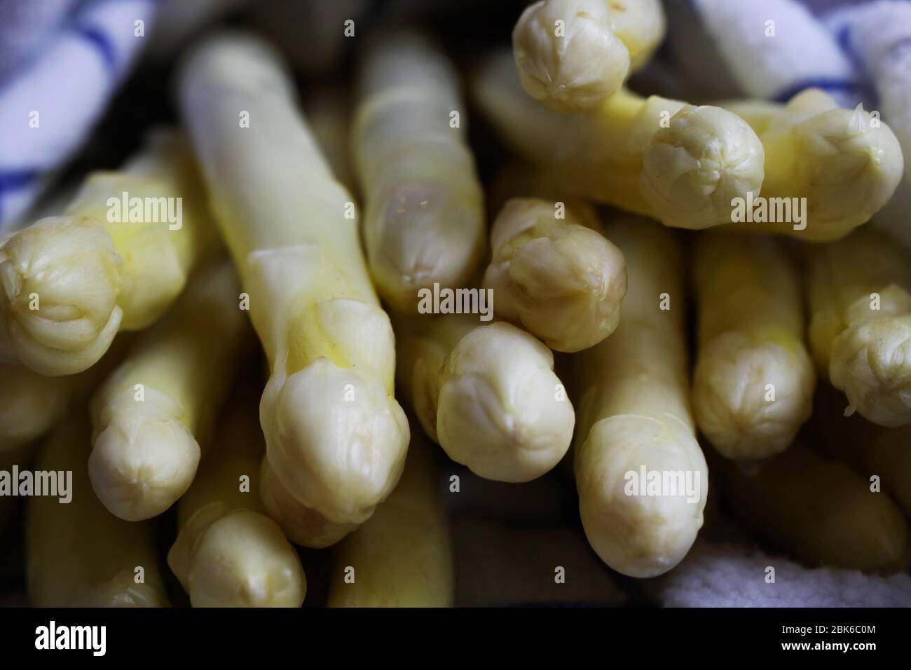 Macro primo piano di gruppo di orli di asparagi freschi e crudi avvolti in un asciugamano umido Foto Stock