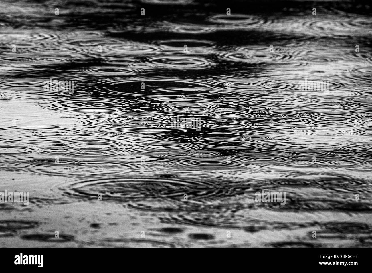 goccioline di pioggia sulla superficie dell'acqua Foto Stock