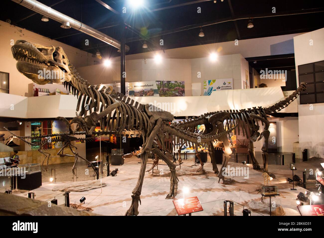 KALASIN, THAILANDIA - 2 OTTOBRE : modello di dinosauro nel Museo Sirindhorn e Phu Kum Khao Dinosaur Excavation Sito per viaggiatori persone viaggio visitare a Sah Foto Stock