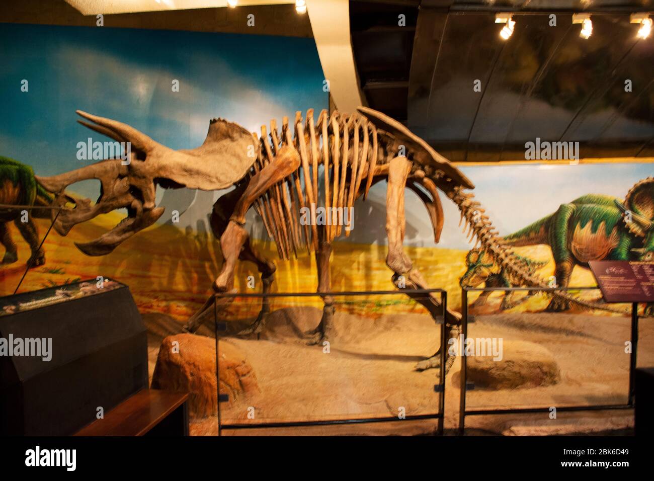 KALASIN, THAILANDIA - 2 OTTOBRE : modello di dinosauro nel Museo Sirindhorn e Phu Kum Khao Dinosaur Excavation Sito per viaggiatori persone viaggio visitare a Sah Foto Stock