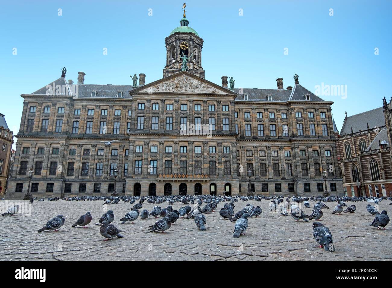 Città panoramica da Amsterdam sulla piazza Dam con colombe invece di turisti durante la crisi di Corona nei Paesi Bassi Foto Stock