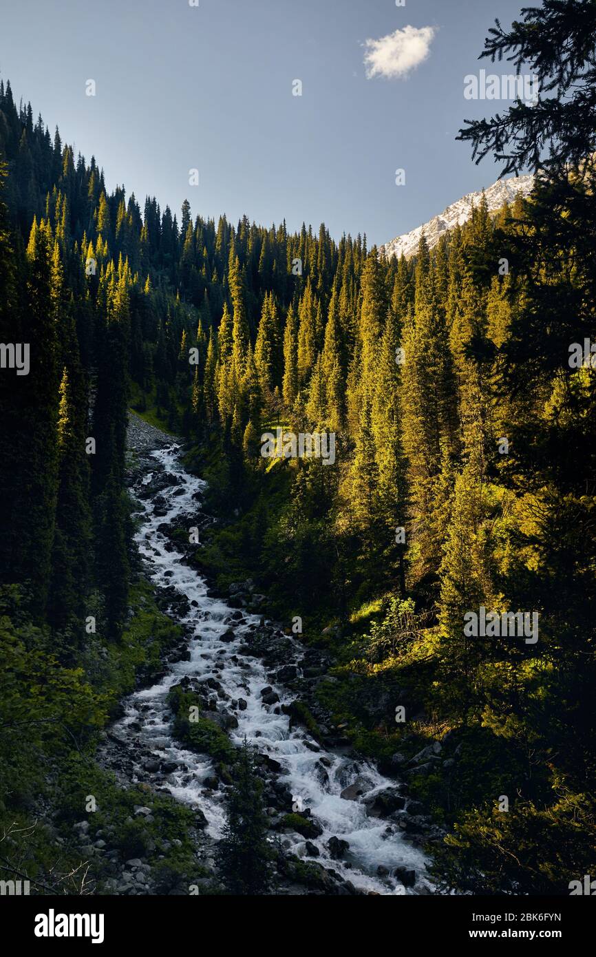 Il fiume selvaggio nella valle di montagna a giornata soleggiata in Kazakistan Foto Stock