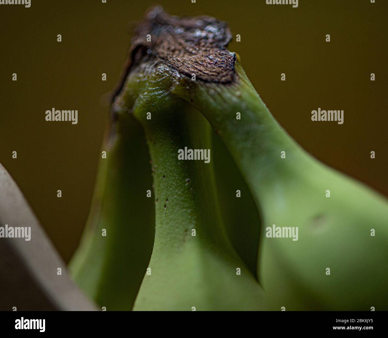 banane Foto Stock