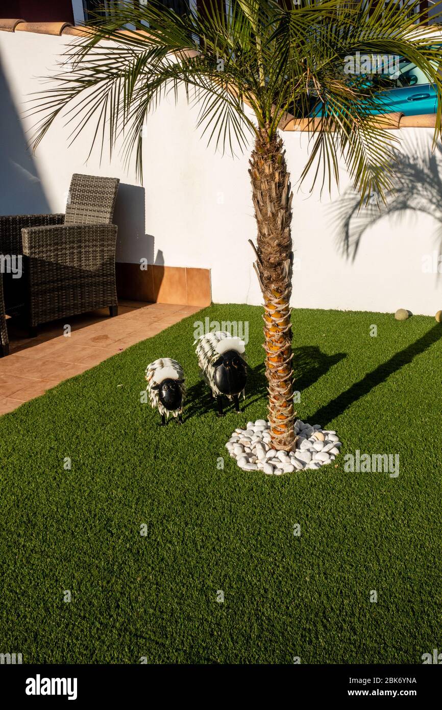 pecora su prato Foto Stock