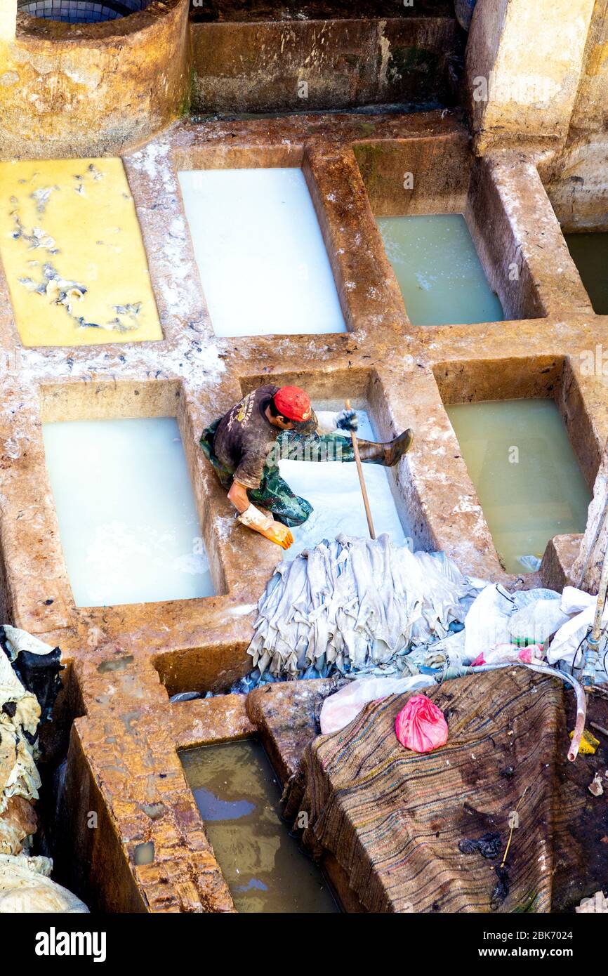Artigianale pelli per pelli in pietra in pozze di urina di vacca, calce viva  e feci di piccione per rimuovere i capelli alle concerie Chaouwara a Fez,  Marocco Foto stock - Alamy