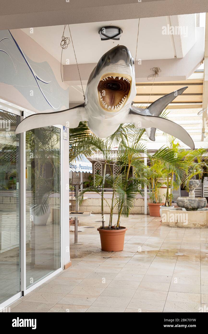 Lo squalo gigante si trova su una terrazza chiusa di un ristorante di pesce durante il covid 19 lockdown nella zona turistica di Costa Adeje, Tenerife, C. Foto Stock