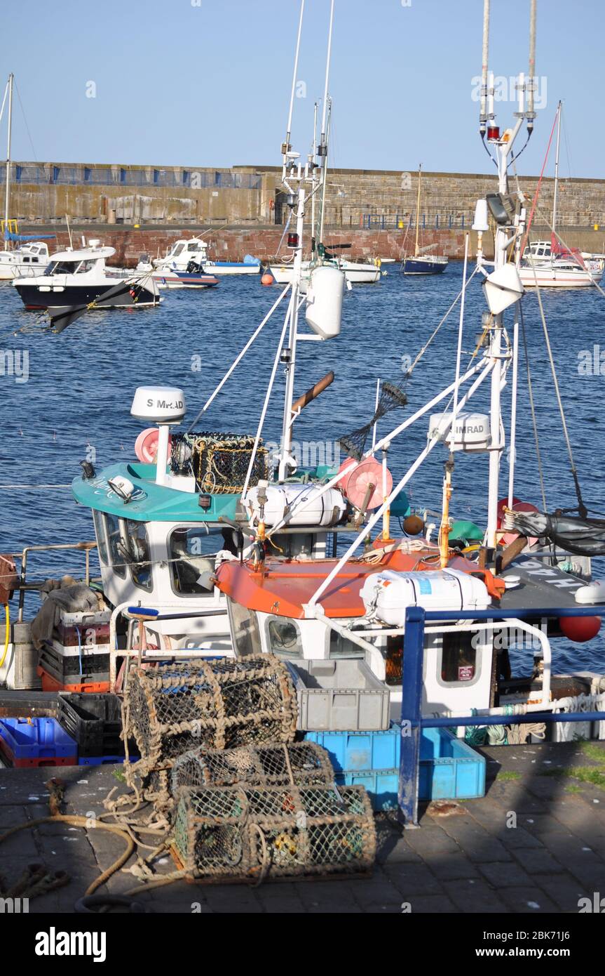 Barche da pesca nel Victoria Harbour, Dunbar, Scozia Foto Stock