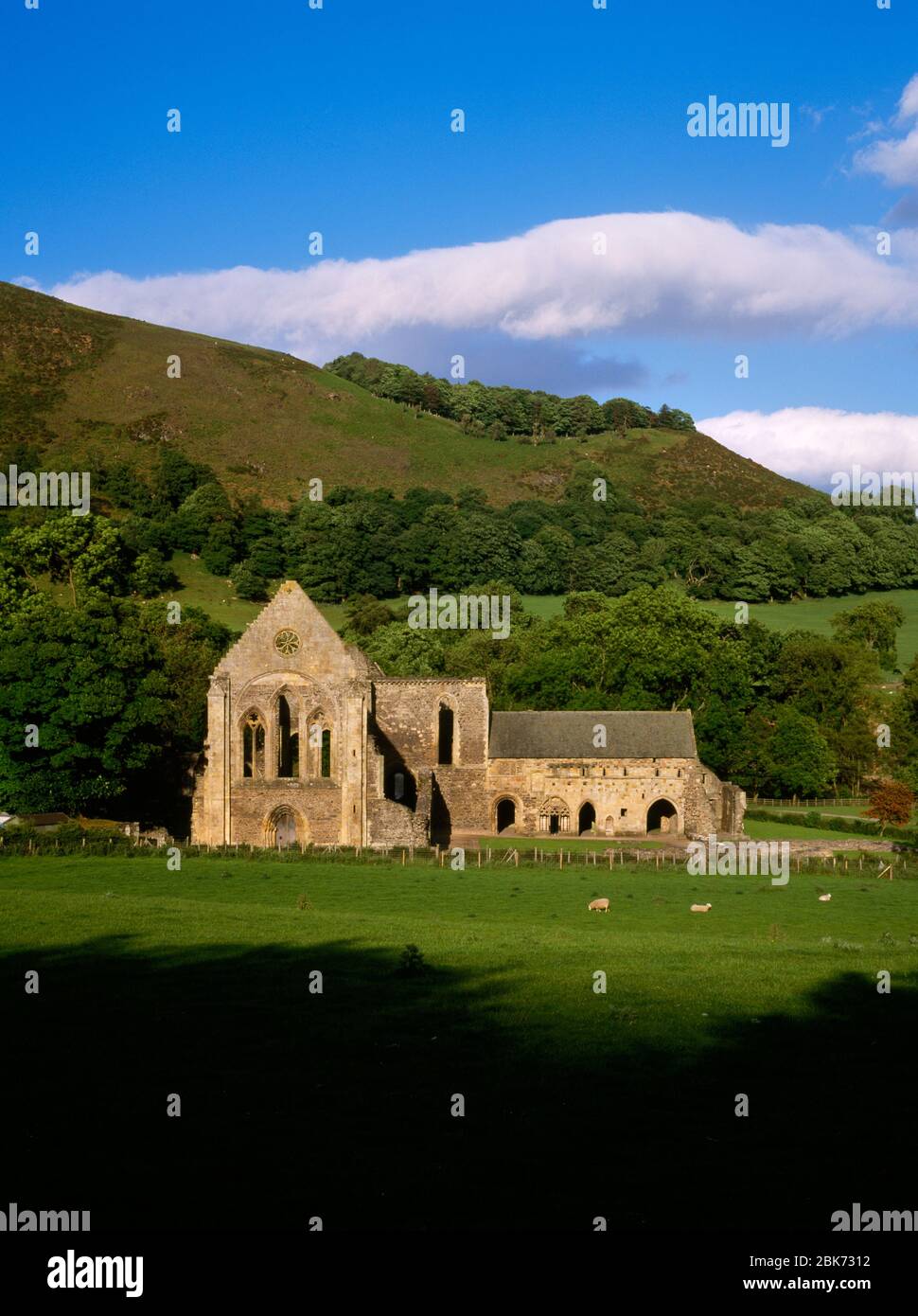 Valle Crucis Abbazia visto da strada, Llangollen, Denbighshire, Galles. Rovinata abbazia cistertiana medievale Foto Stock