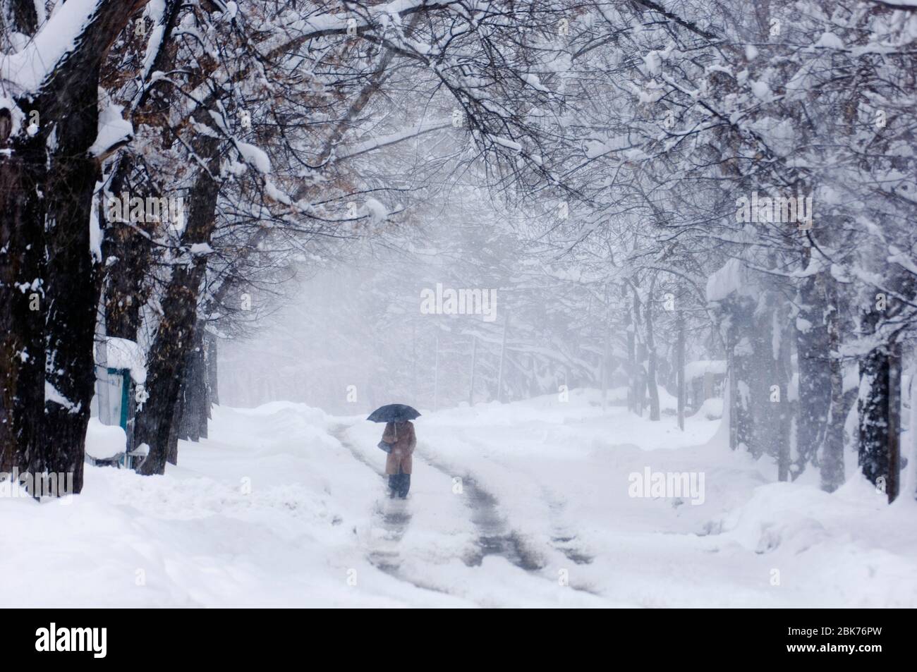 Strada attraverso Kazbegi durante l'alta nevicata a fine aprile Grande Caucaso Georgia Foto Stock