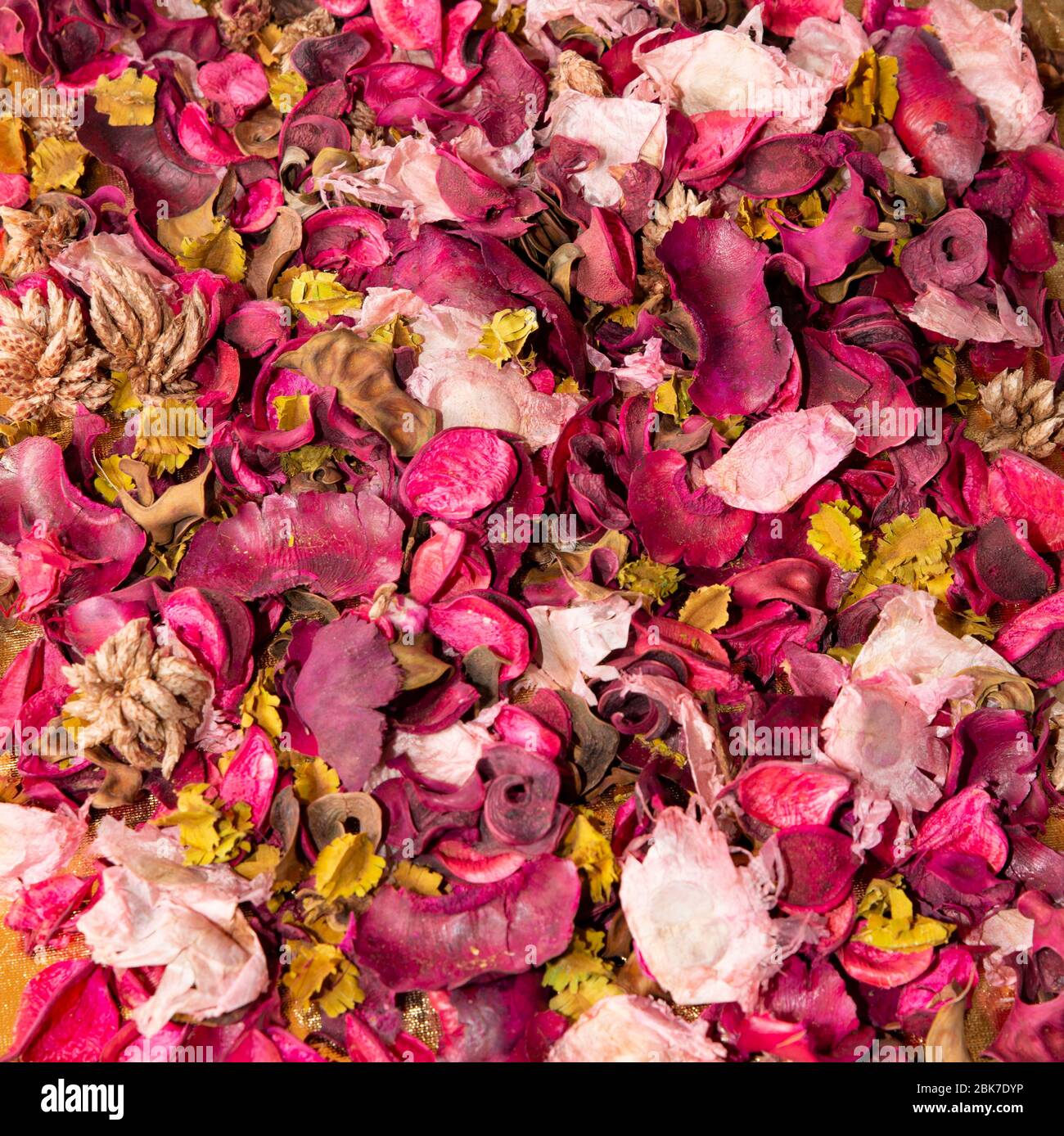 potpurri hot rosa e giallo con foglia e fiore Foto Stock