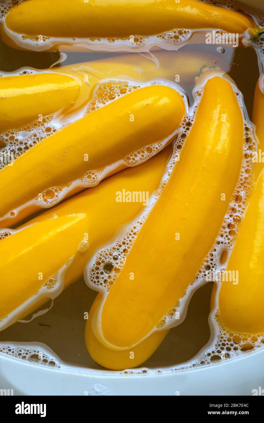 Zucchine lavate in acqua saponata durante la Pandemia di Coronavirus Foto Stock