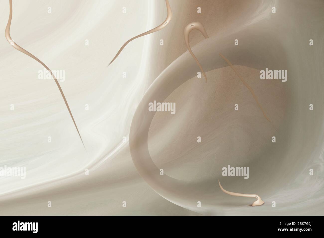 forme organiche in camera bianca futuristica Foto Stock