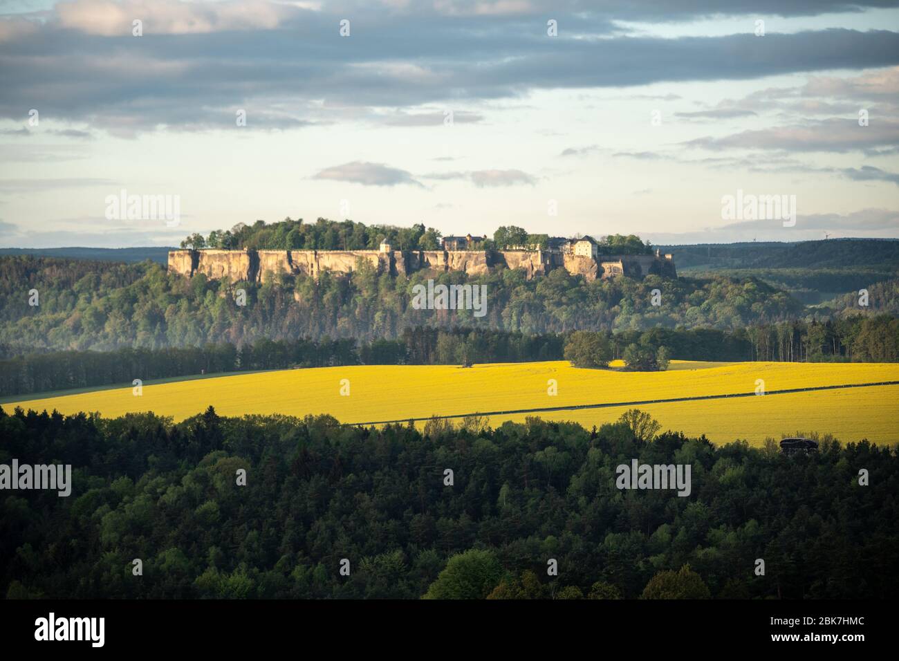 campo di ricerca in svizzera sassone, sassonia, germania Foto Stock