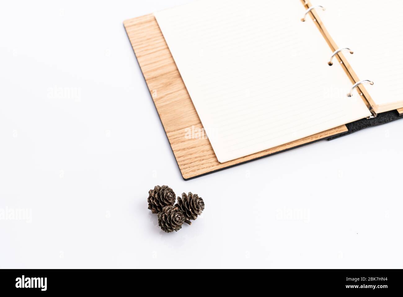 Classico notebook aperto vicino coni di pino. Il concetto di autodisciplina per fare un programma pianificato sul lavoro. Foto Stock