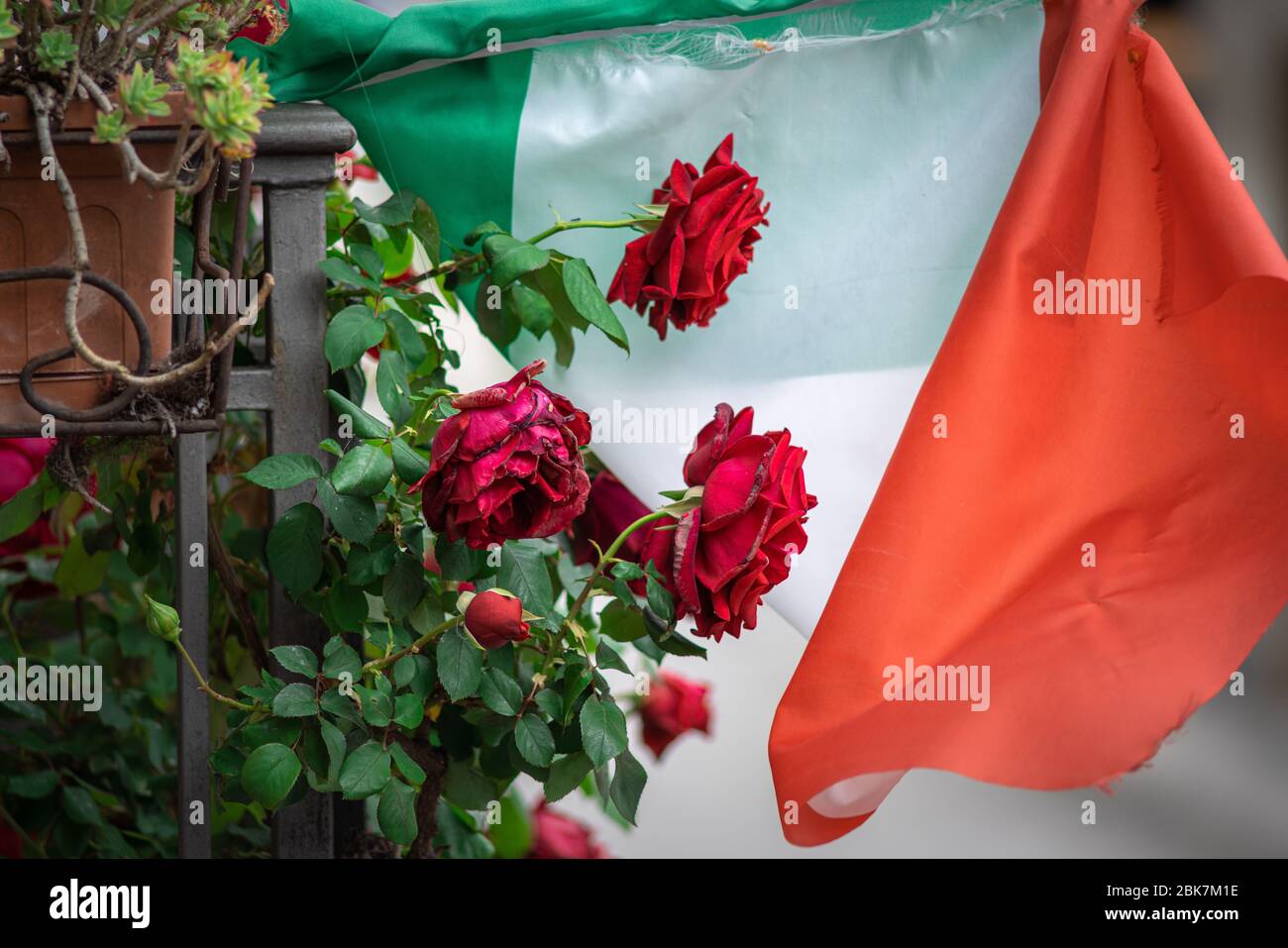 bandiera italiana, lo faremo Foto Stock