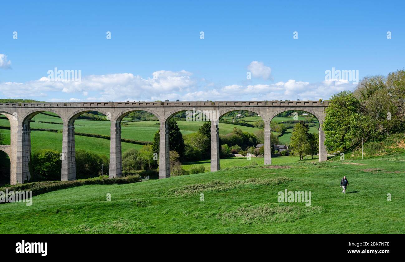Cannington, Devon orientale. 2 maggio 2020. UK Weather: L'imponente viadotto a Cannington incornicia la splendida campagna del Devon orientale in un bellissimo pomeriggio soleggiato durante il blocco dei pandemici coronavirus. Un camminatore solone ammira la vista. Credit: Celia McMahon/Alamy Live News. Foto Stock