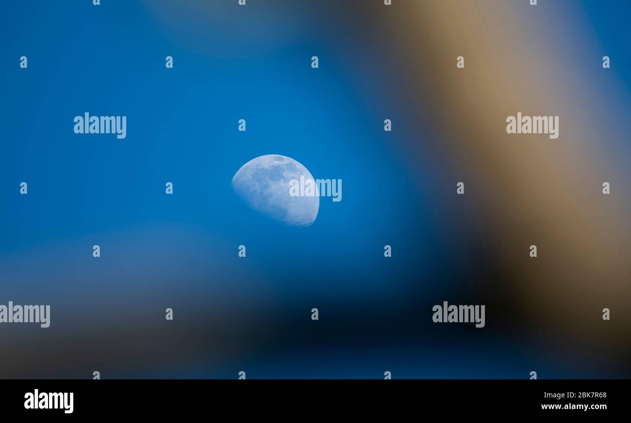 Londra, Regno Unito. 2 maggio 2020. Fase lunare contro il cielo blu di prima sera, visto tra il ramo illuminato dal sole di un albero. Credit: Malcolm Park/Alamy Live News. Foto Stock