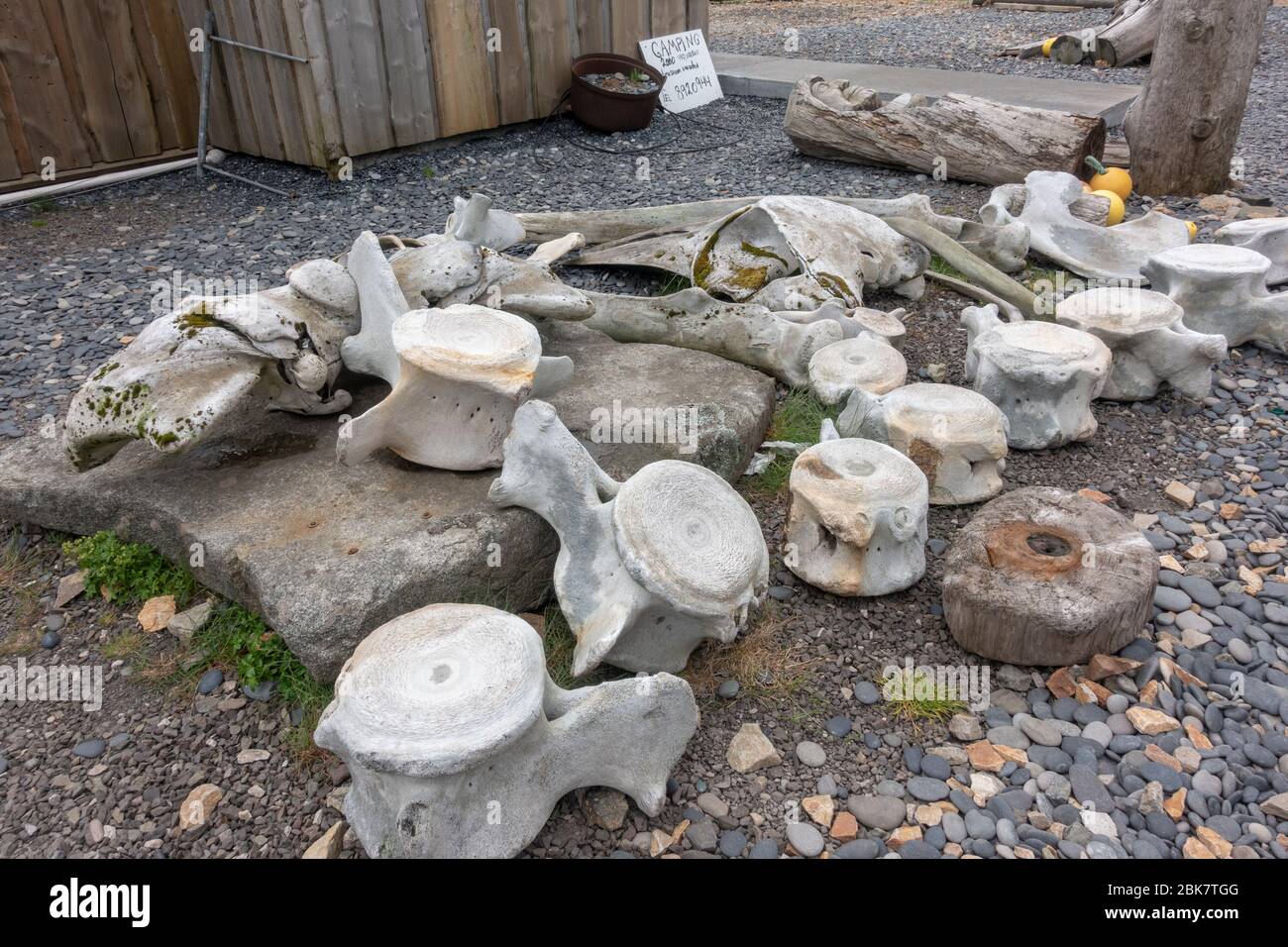 Spina dorsale di balene sulla penisola di Stokksnes vicino a Höfn, Islanda. Foto Stock