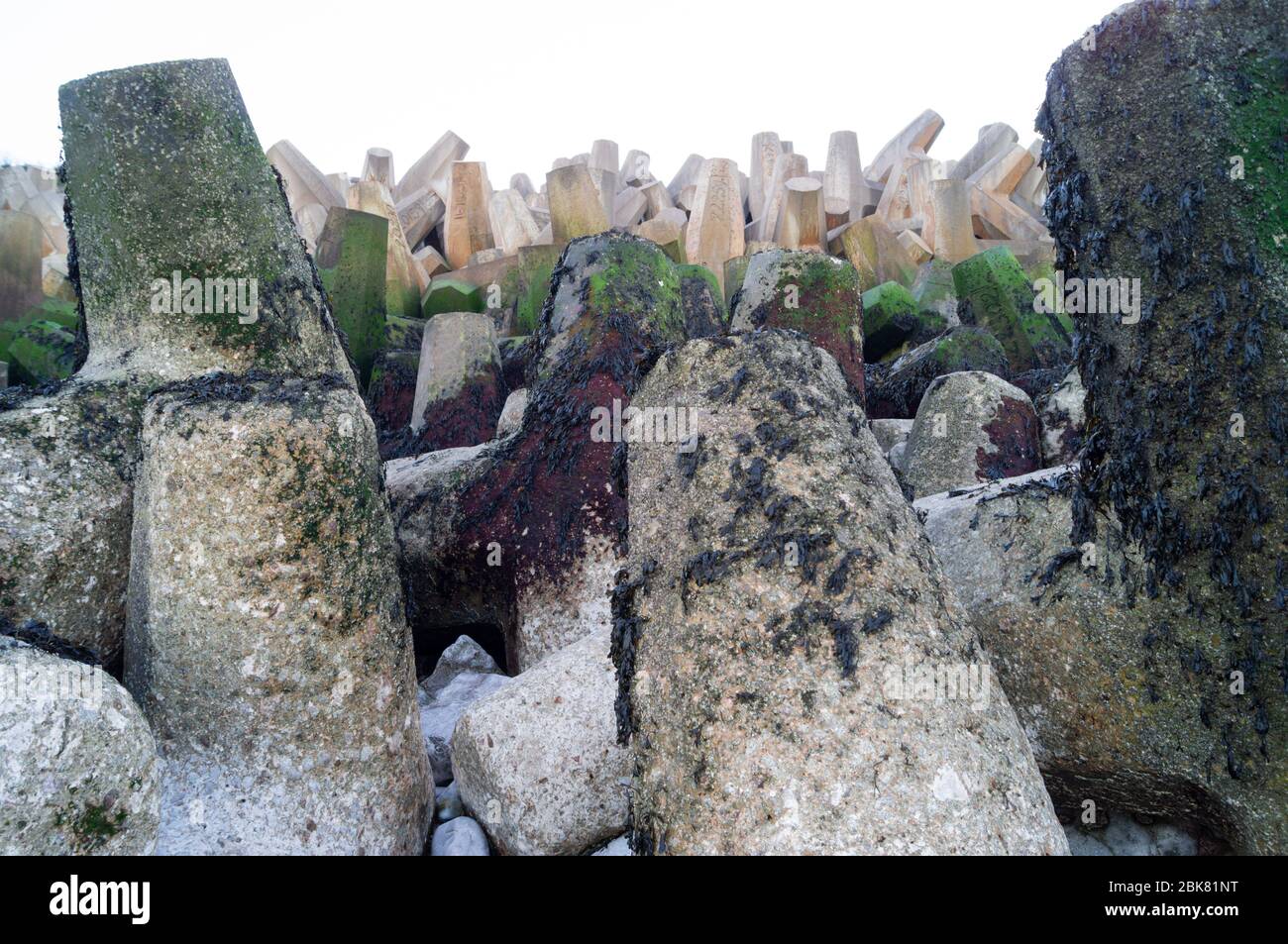 Dolosse a Colwyn Bay, Old Colwyn, Galles colos colosse mare frangiflutti gallesi Foto Stock