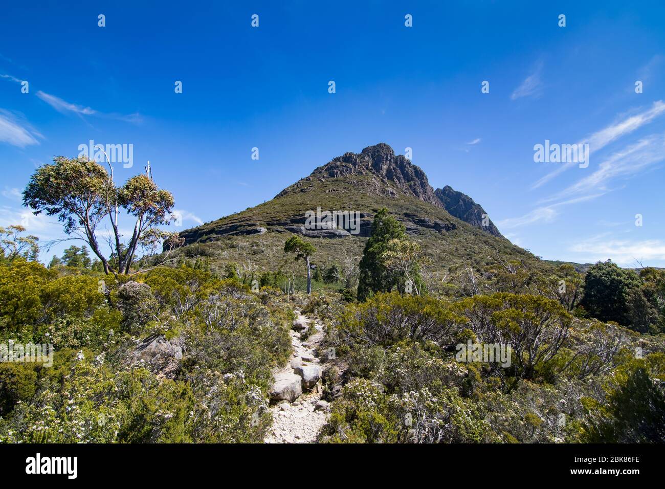 Paesaggio al Cradle Mountain-Lake St Clair National Park Foto Stock