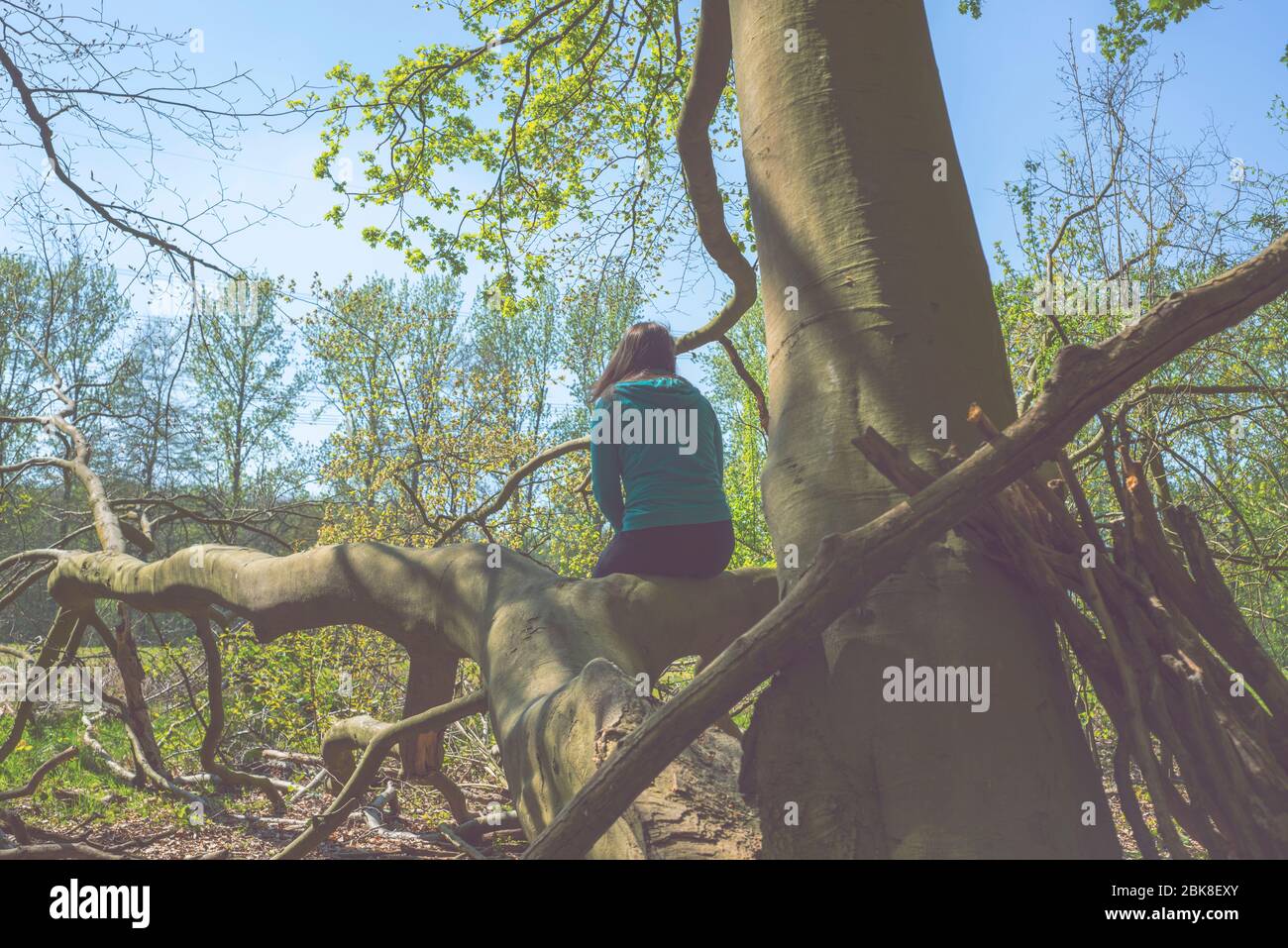 Una giovane donna è seduta su un albero caduto alla fine della foresta Foto Stock