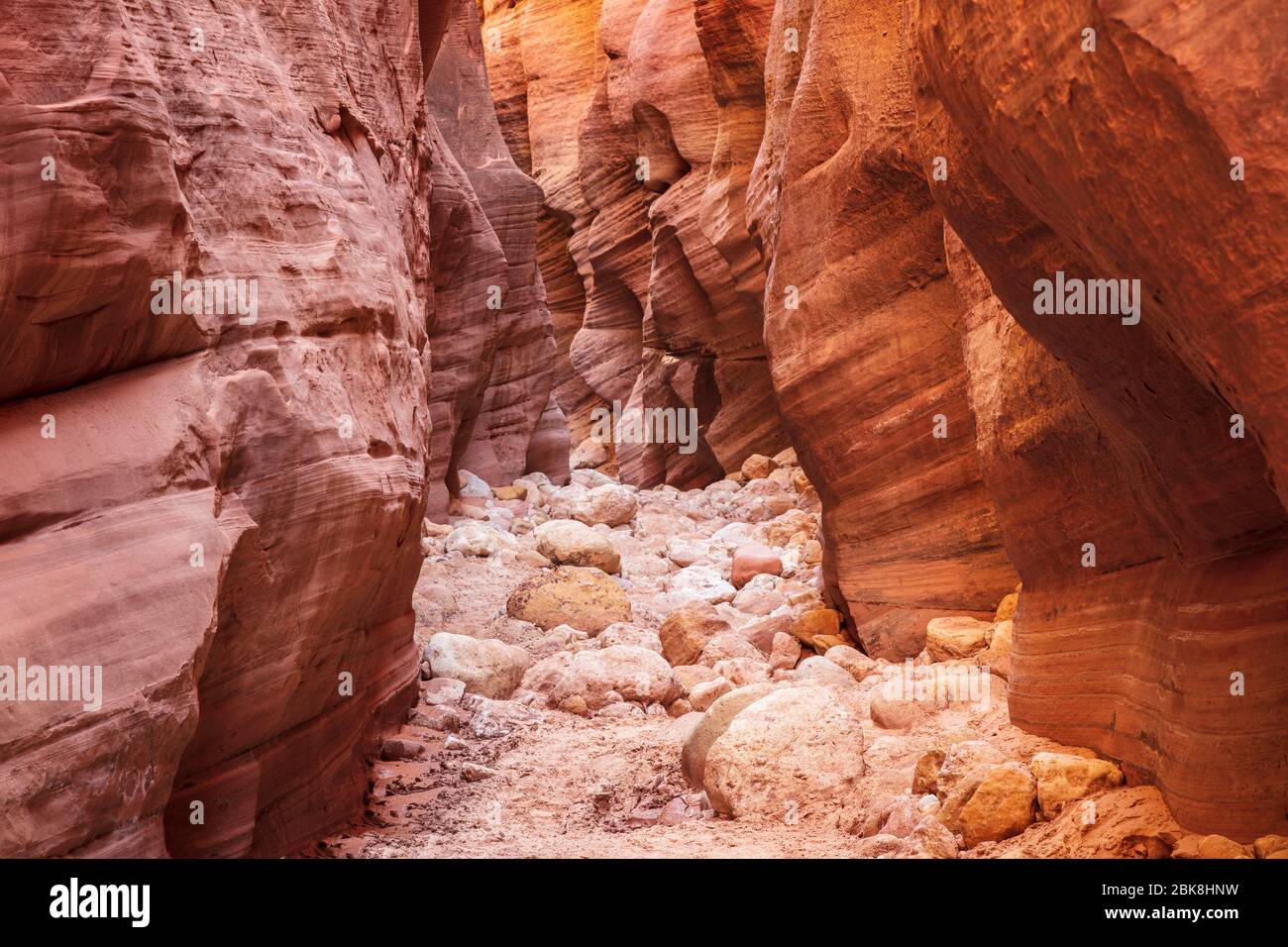 Buckskin Gulch slot Canyon sul confine con l'Arizona, Utah Foto Stock
