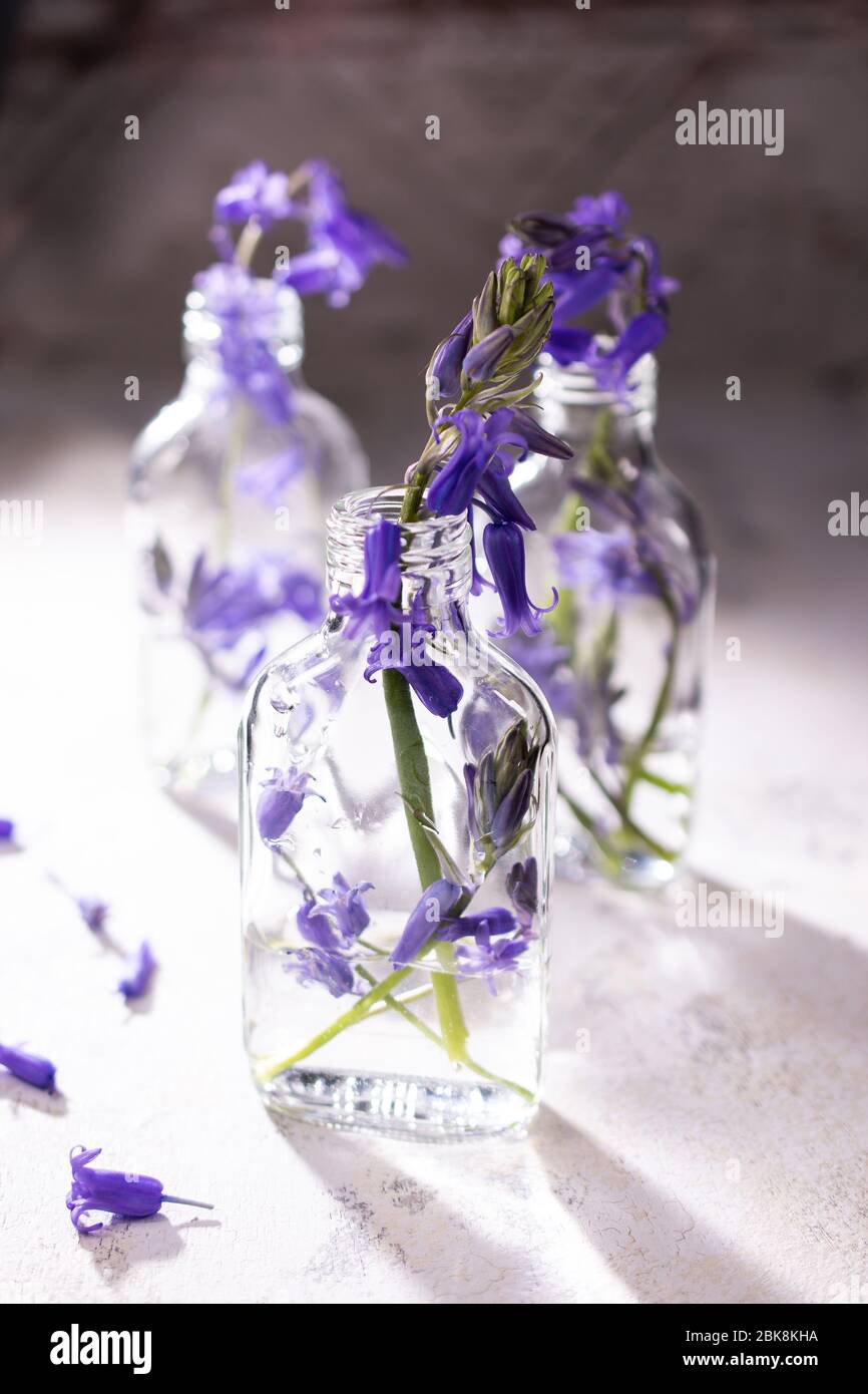 Fiori in vetro bottles.Table decoration.Bell flower.Vintage style Foto Stock