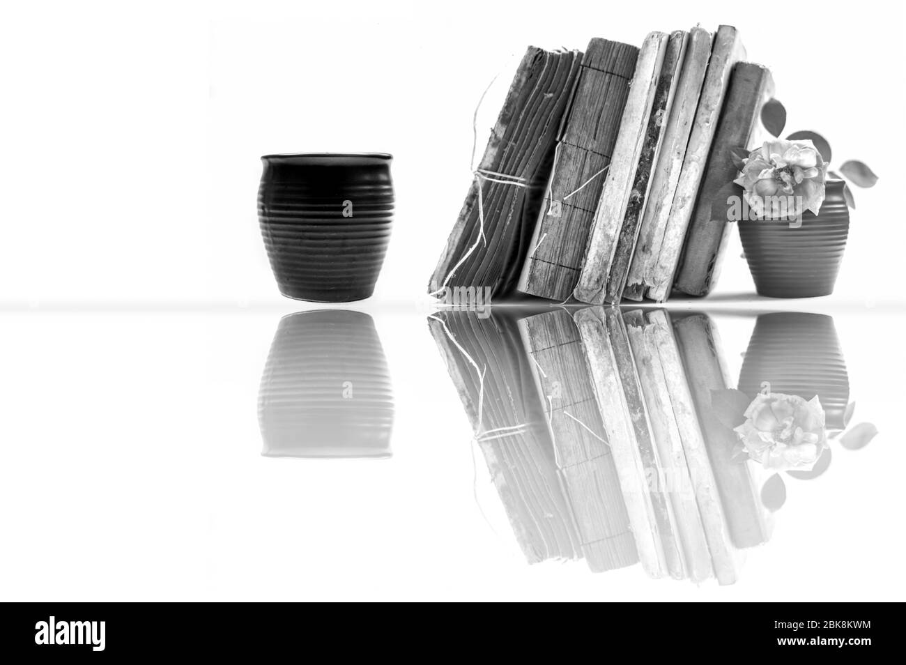 Scatto di un mazzo di vecchi libri con un vetro di argilla di caffè e alcuni fiori rosa con esso isolato su uno sfondo bianco. Scatto con riflessione Foto Stock