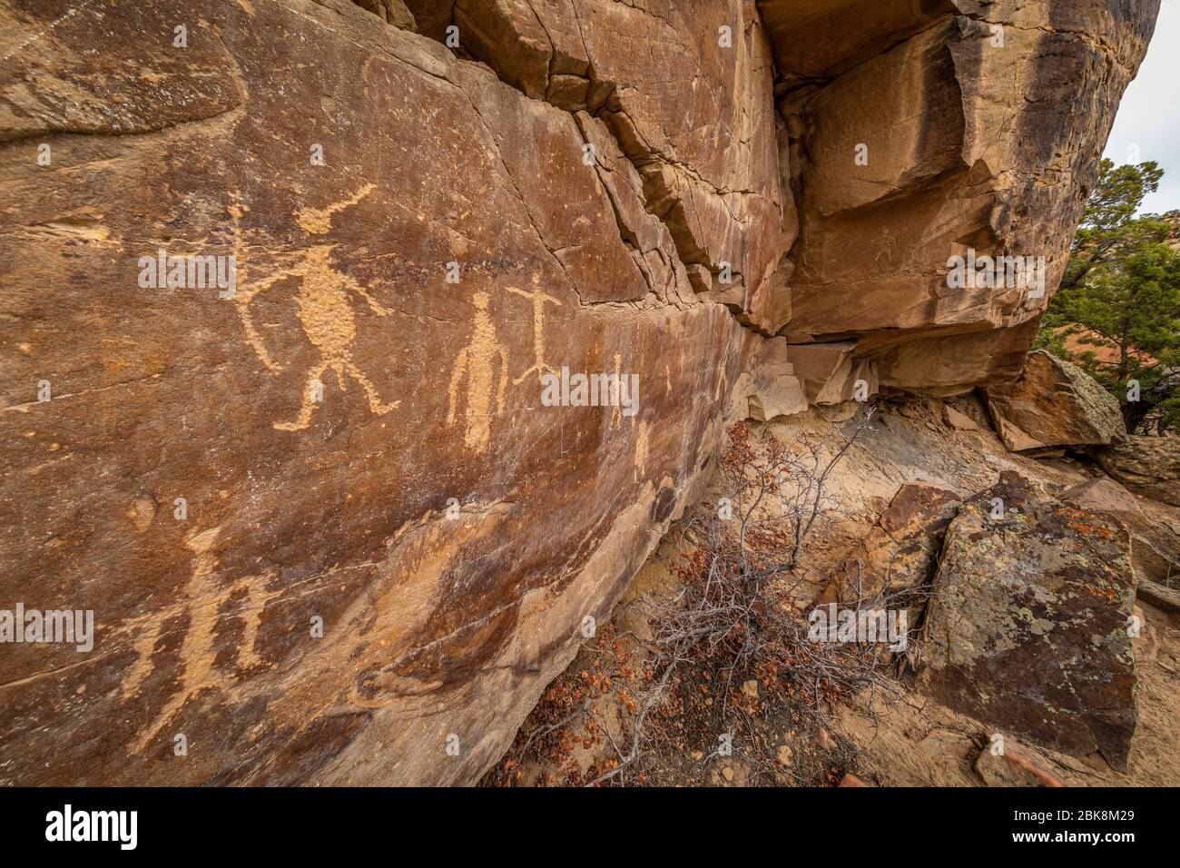 Petroglifi nel Canyon di Petroglyph al confine Montana/Wyoming Foto Stock