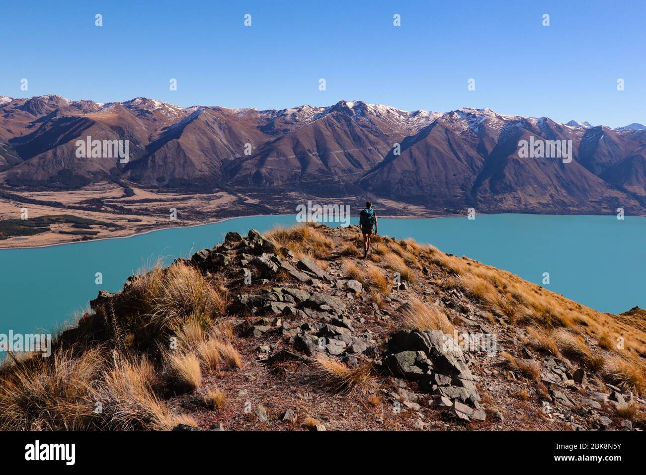 Vista da ben Ohau, escursioni a piedi ben Ohau, lago Ohau sullo sfondo con ben Ohau range, Nuova Zelanda Foto Stock