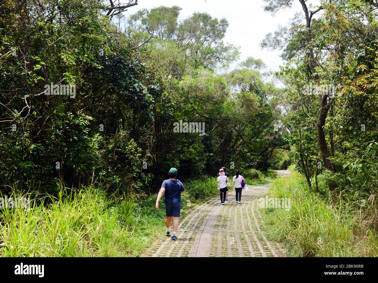 Escursioni sul sentiero che scende dalla stazione dei venti di Lamma sull'isola di Lamma a Hong Kong. Foto Stock
