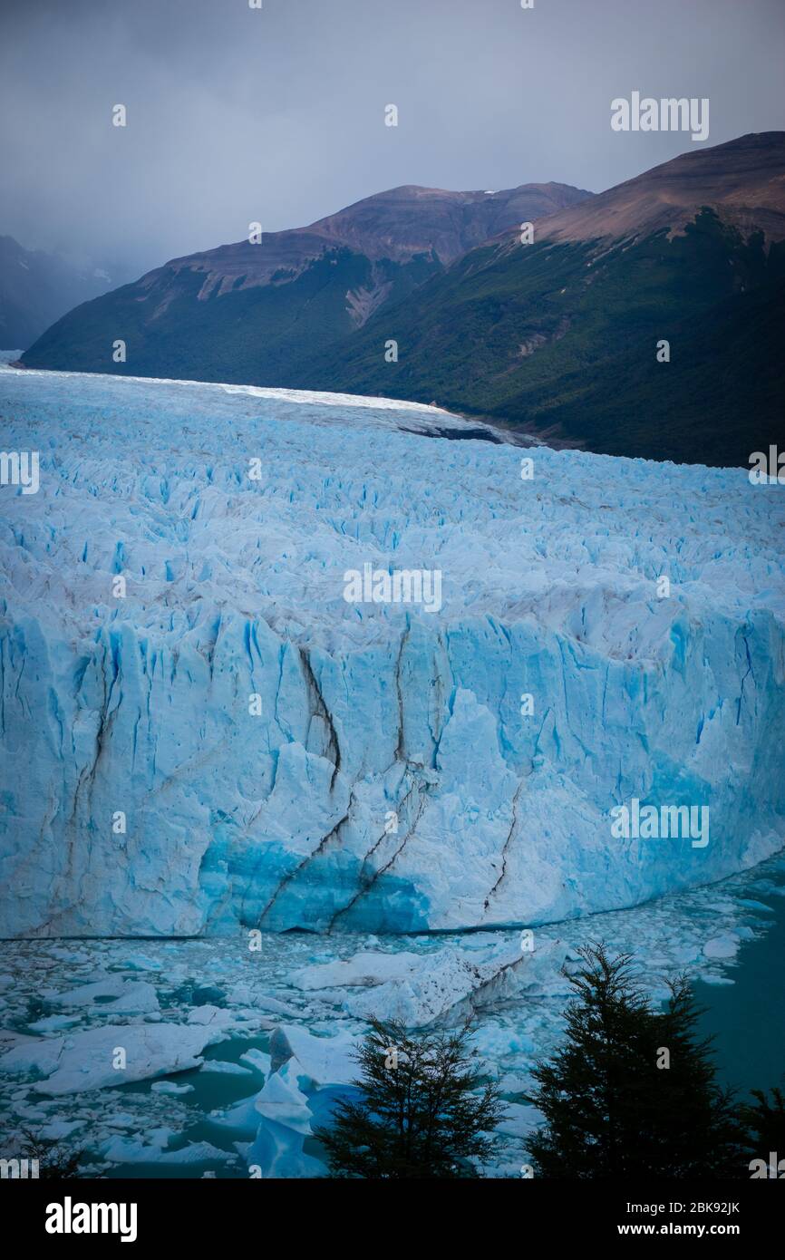 Paesaggio ghiacciato (Iceberg&Forest) di El Calafate, la città vicino al bordo del campo di ghiaccio Patagoniano meridionale nella provincia argentina di Santa Cruz kno Foto Stock