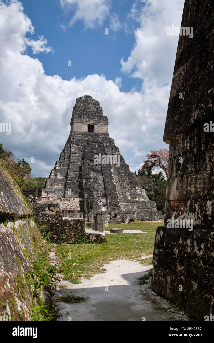 Piramidi Maya del sito archeologico di Tikal. Foto Stock