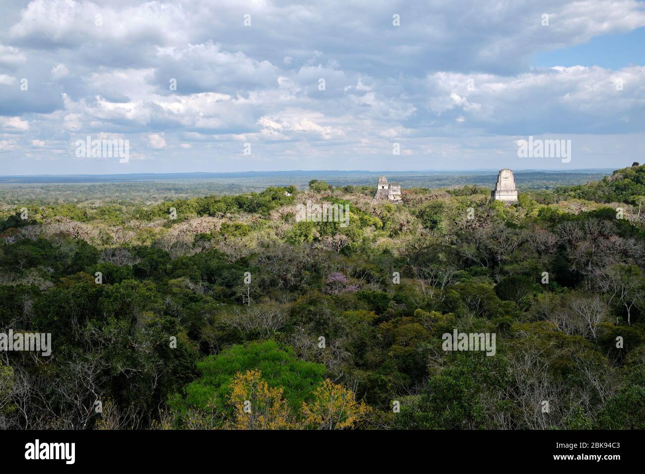 Piramidi Maya del sito archeologico di Tikal. Foto Stock