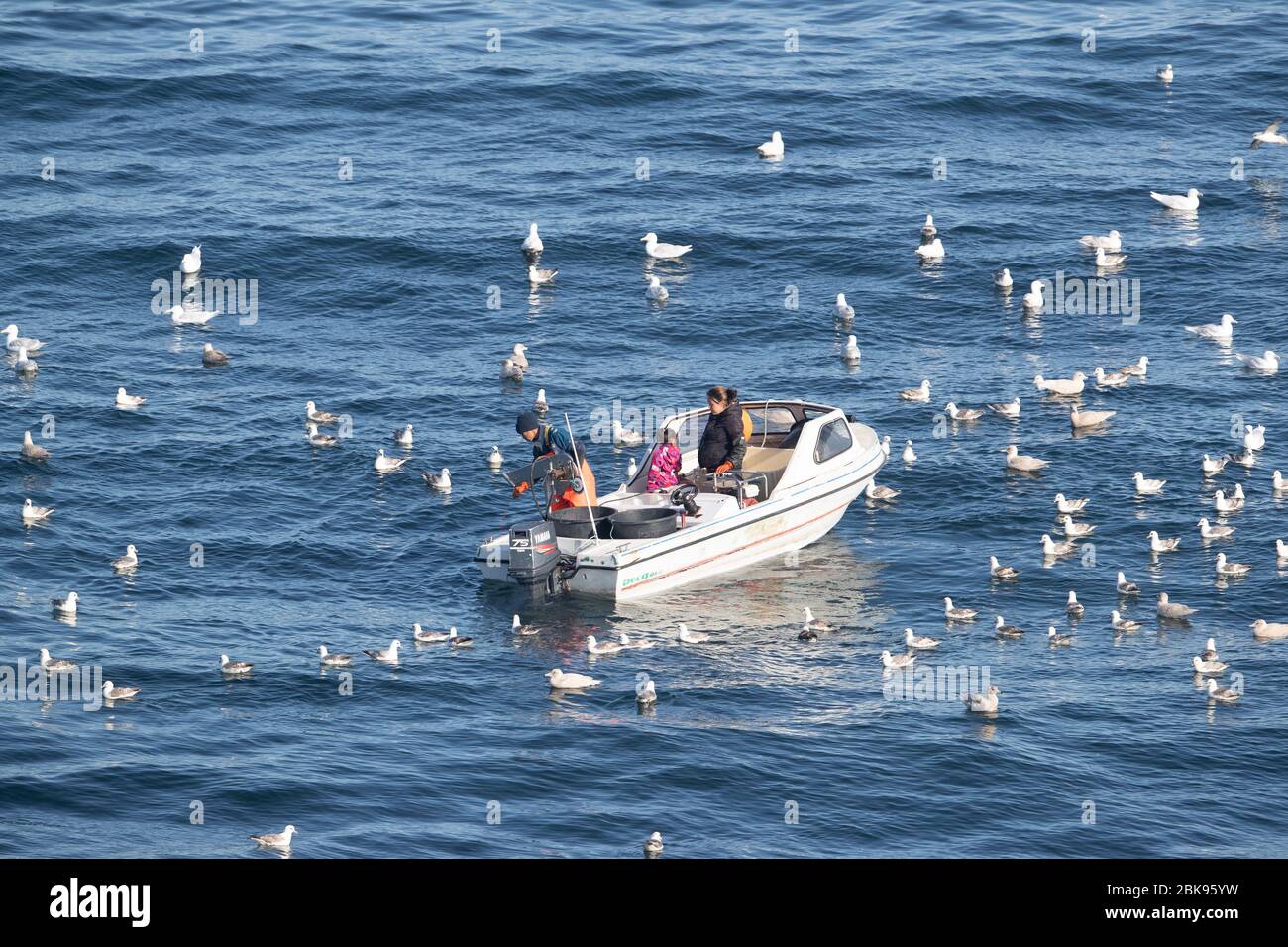 braccio di mare tra islanda e groenlandia