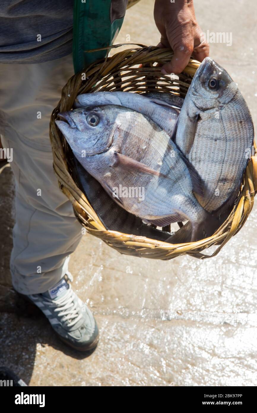 Pesce crudo Dorada barbecue pronto, ristorante, Essaouira, Marocco Foto Stock