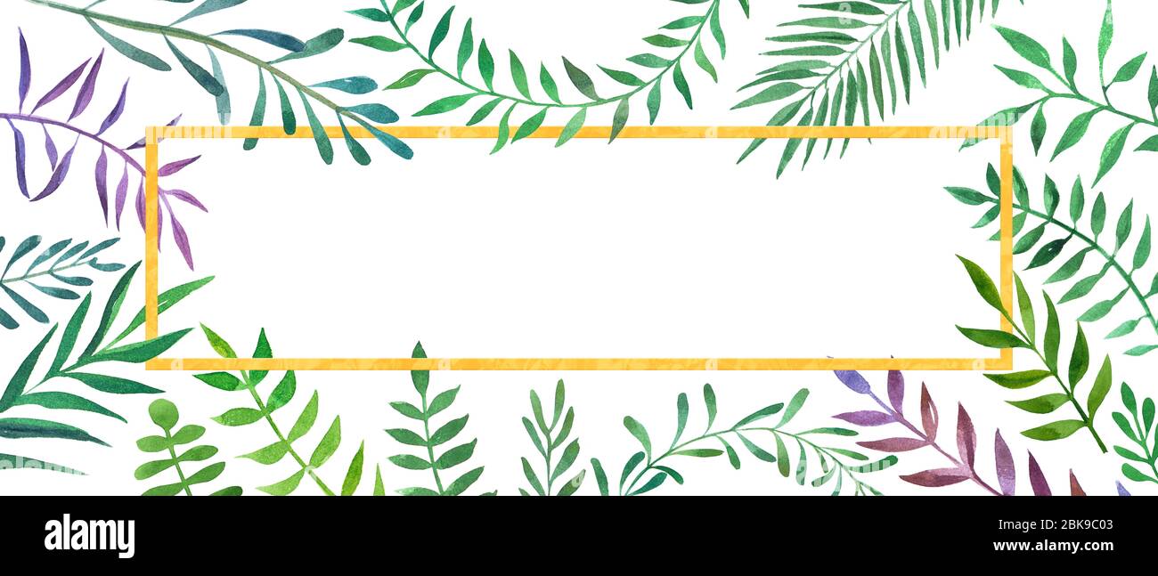 Modello botanico disegnato a mano Foto Stock