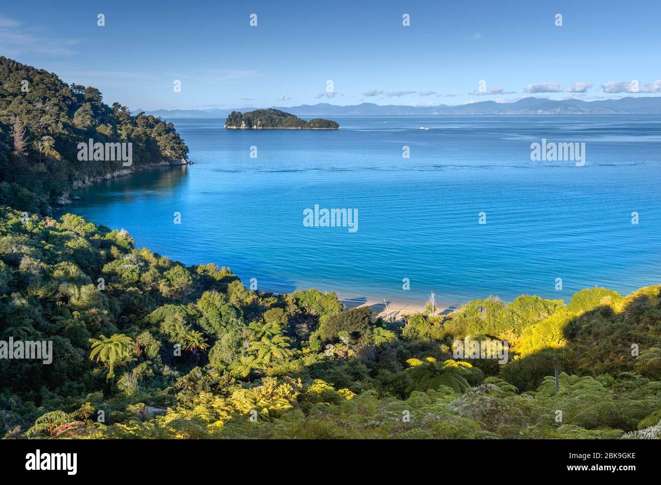 Pista costiera di Abel Tasman, Parco Nazionale di Abel Tasman, Torrent Bay, Takaka, Tasman, Nuova Zelanda Foto Stock