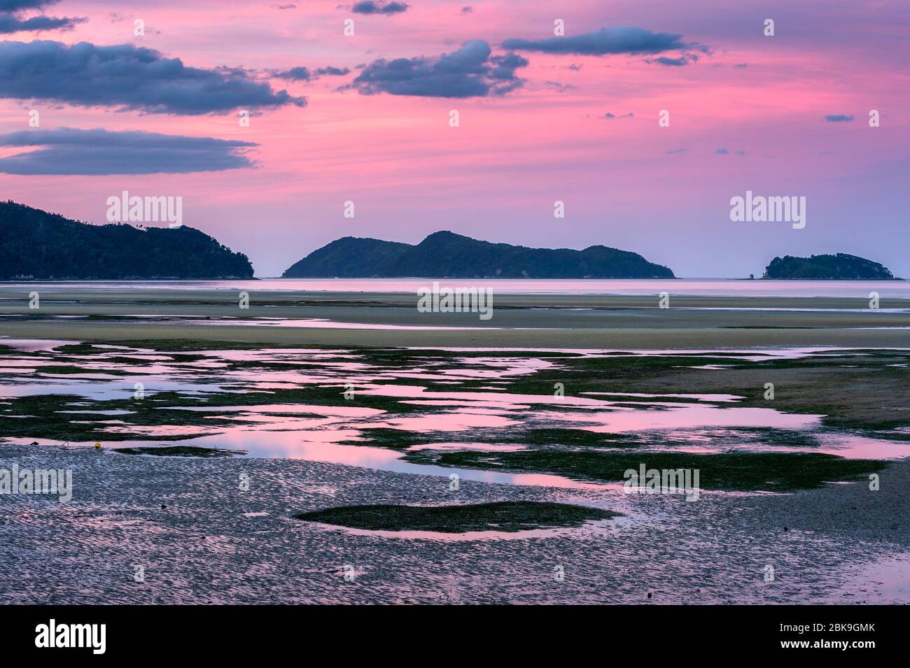 Serata rosa con bassa marea, costa a Torrent Bay, Takaka, Tasman, South Island Nuova Zelanda Foto Stock