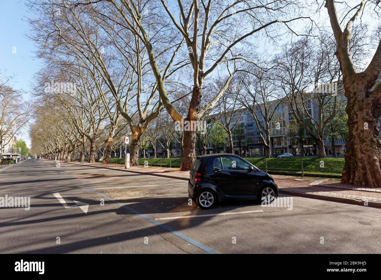 Single Smart e molti posti auto gratuiti a Koenigsallee, blocco a causa della pandemia corona, Duesseldorf, Nord Reno-Westfalia, Germania Foto Stock