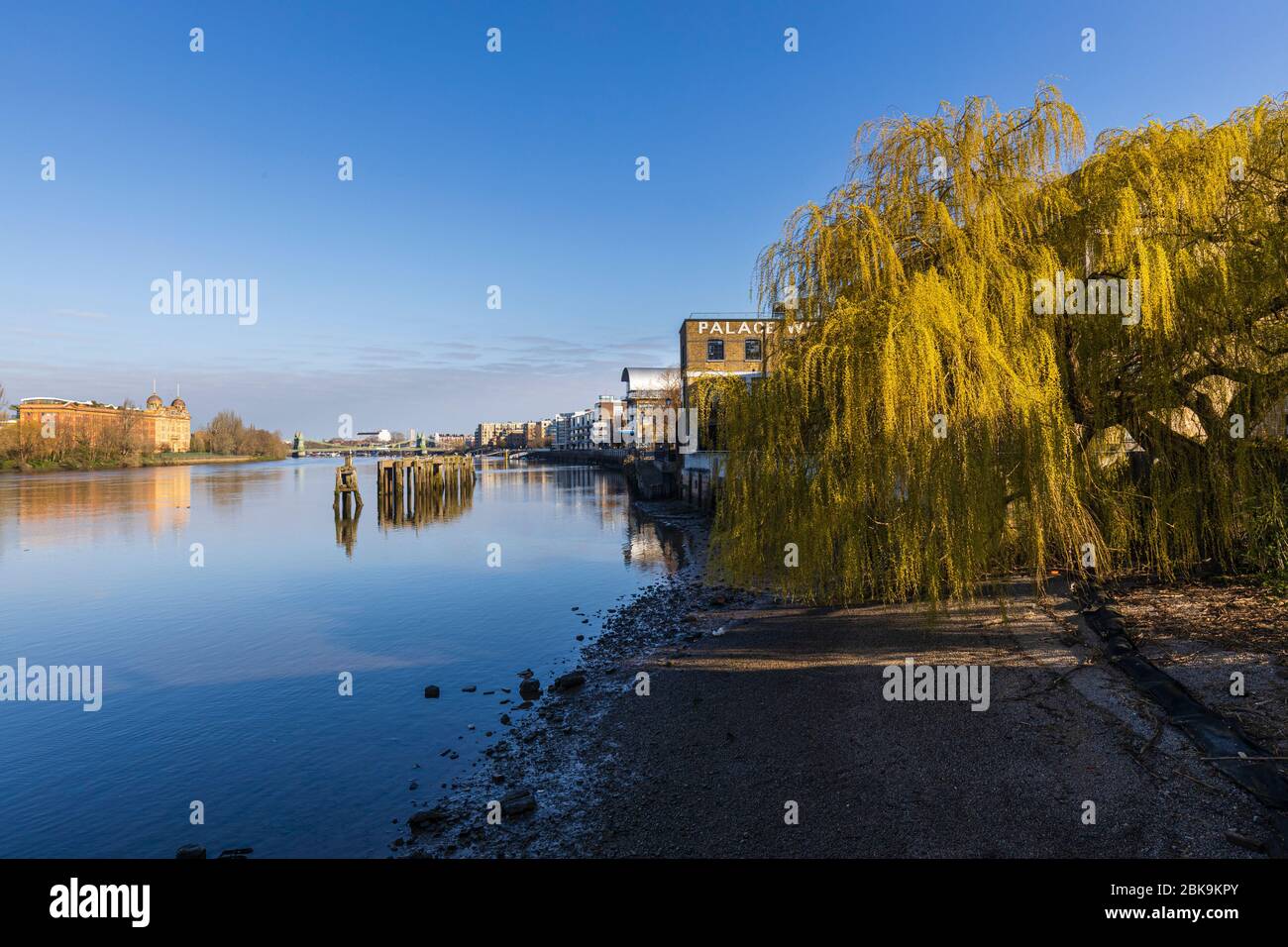 Lockdown London: Scena lungo il Tamigi verso Hammersmith Bridge lungo un percorso e un fiume normalmente trafficati. Foto Stock