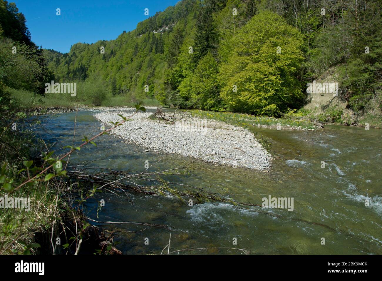 Einer der wenigen unberührten Schweizer Flüsse, die sense, zwischen Guggisberg und Schwarzenburg Foto Stock