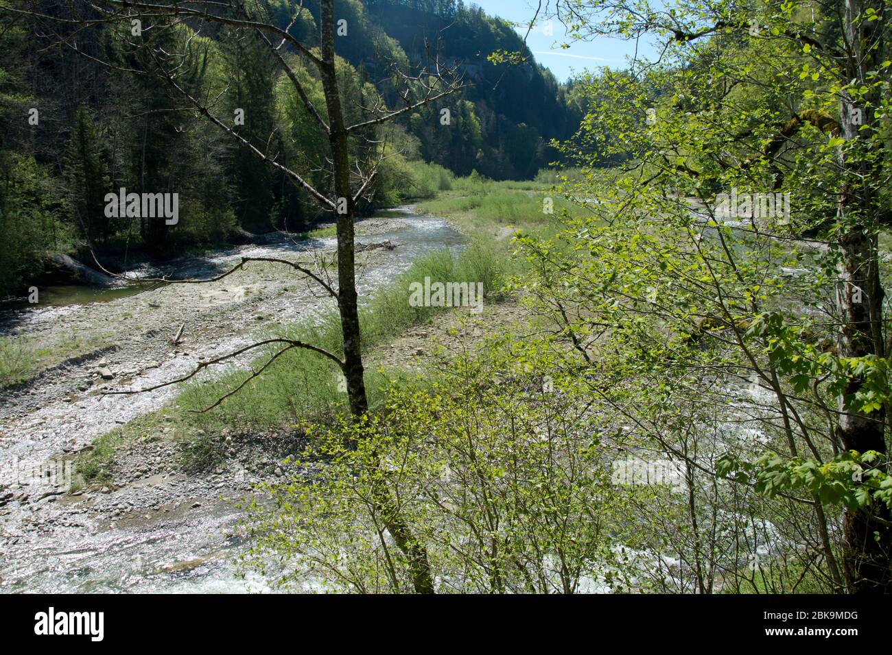Einer der wenigen unberührten Schweizer Flüsse, die sense, zwischen Guggisberg und Schwarzenburg Foto Stock