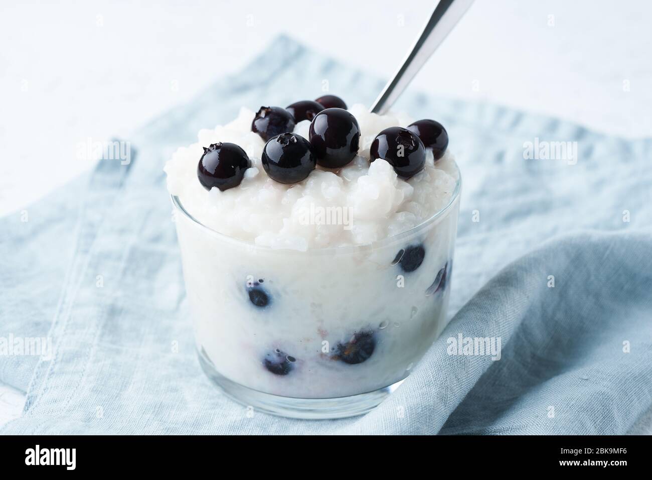 Budino di riso al cocco vegano con mirtillo, dessert senza glutine, vista laterale. Foto Stock