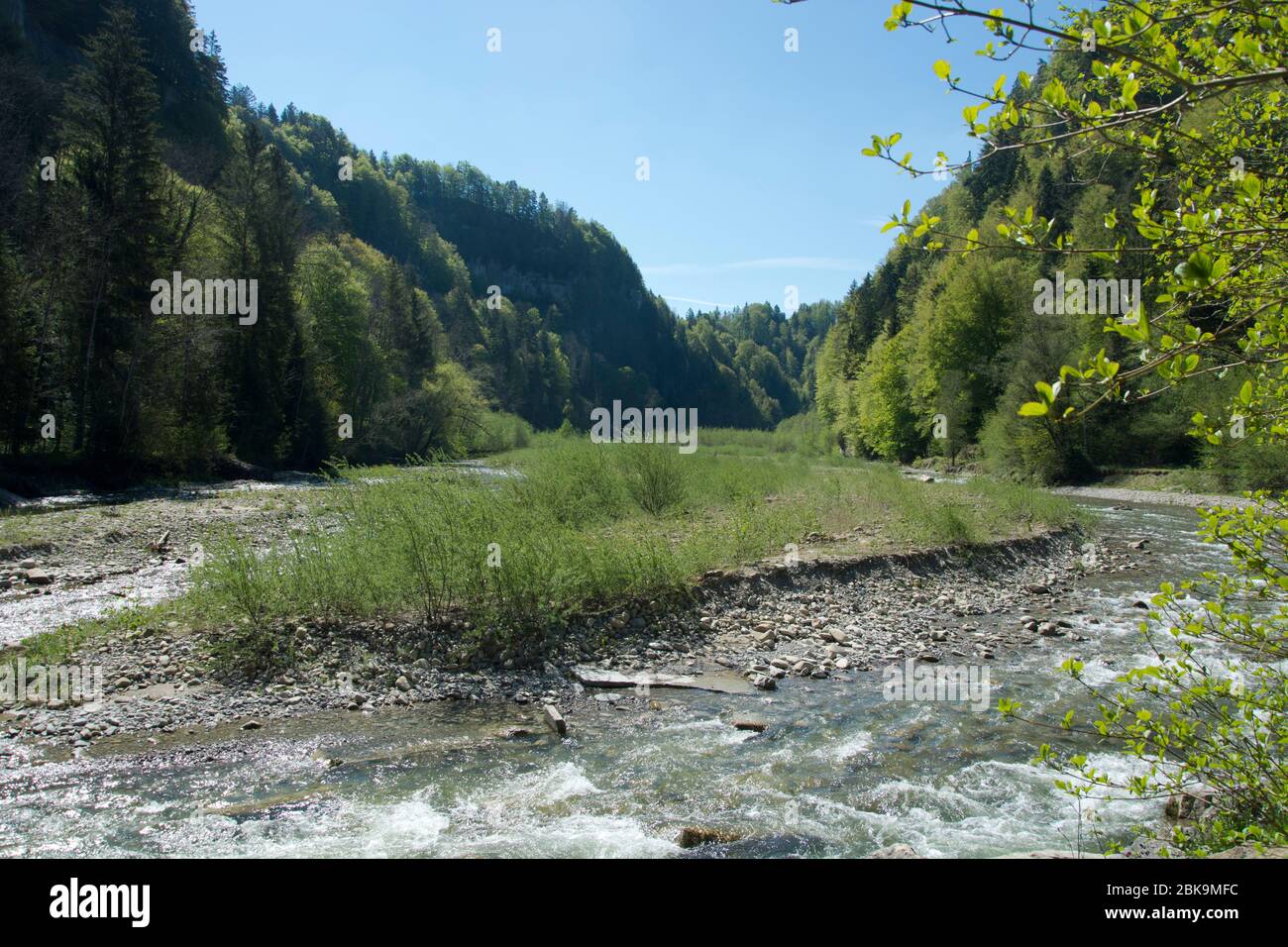 Einer der wenigen unberührten Schweizer Flüsse, die sense, zwischen Guggisberg und Schwarzenburg Foto Stock