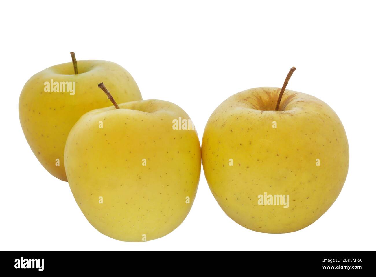 Mele su un melo Immagini senza sfondo e Foto Stock ritagliate - Alamy