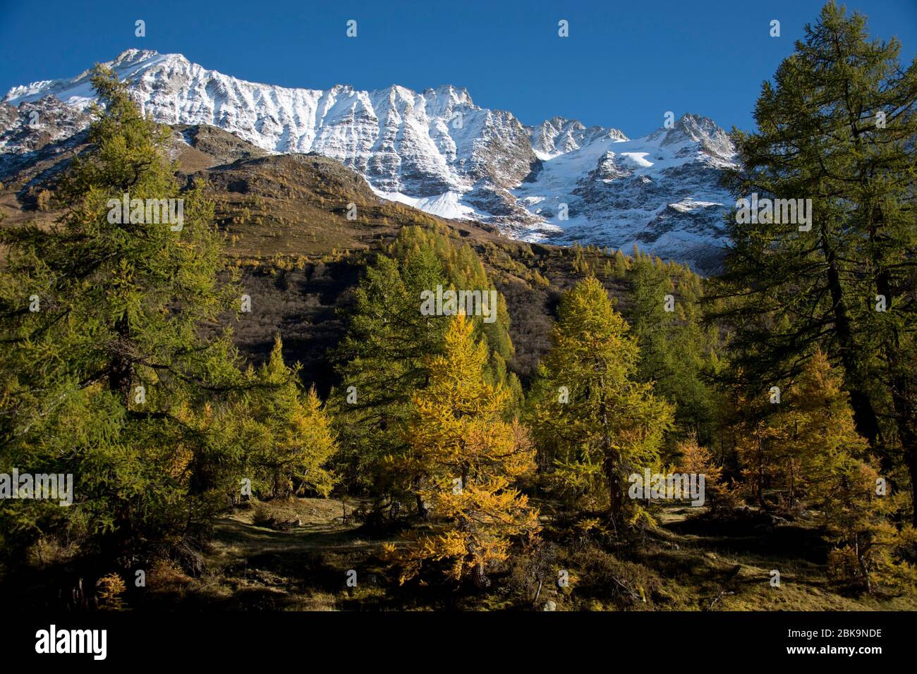 Bergkulisse an einem klaren Herbsttag im hinteren Lötschental, Wallis Foto Stock